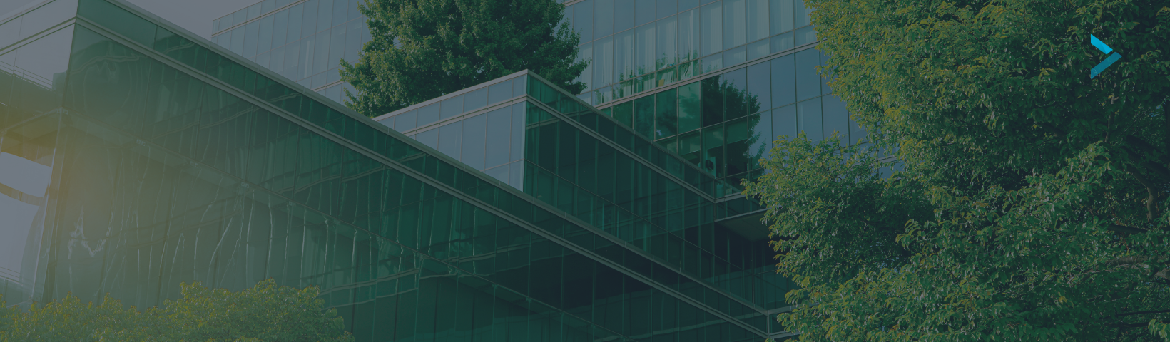 Buildings surrounded by green trees