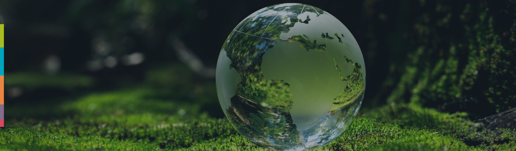 Decorative image of glass globe on grass
