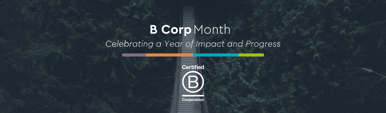 B Corp Decorative Page Header
