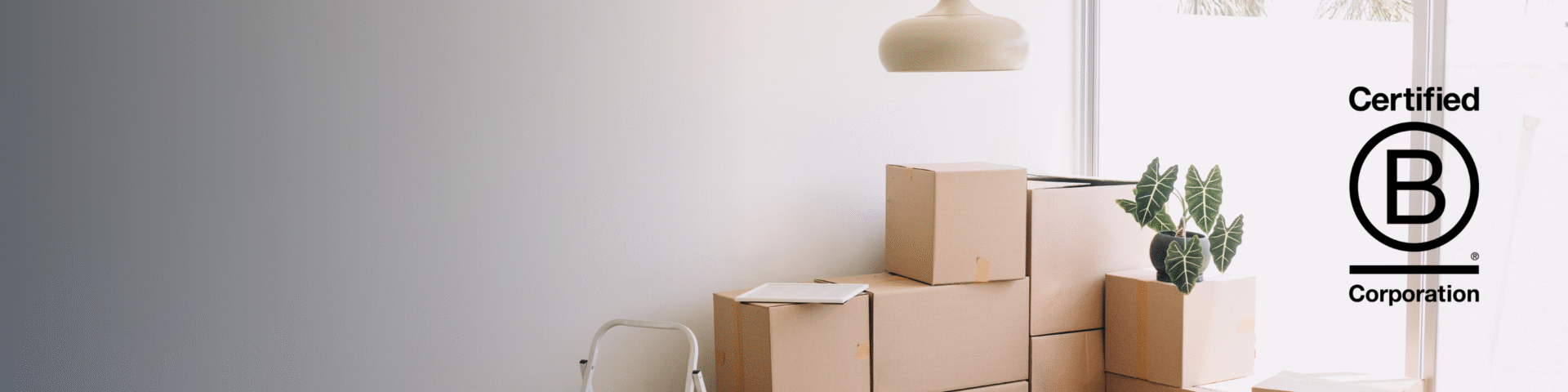 Our new B Corp Office: Image with moving boxes